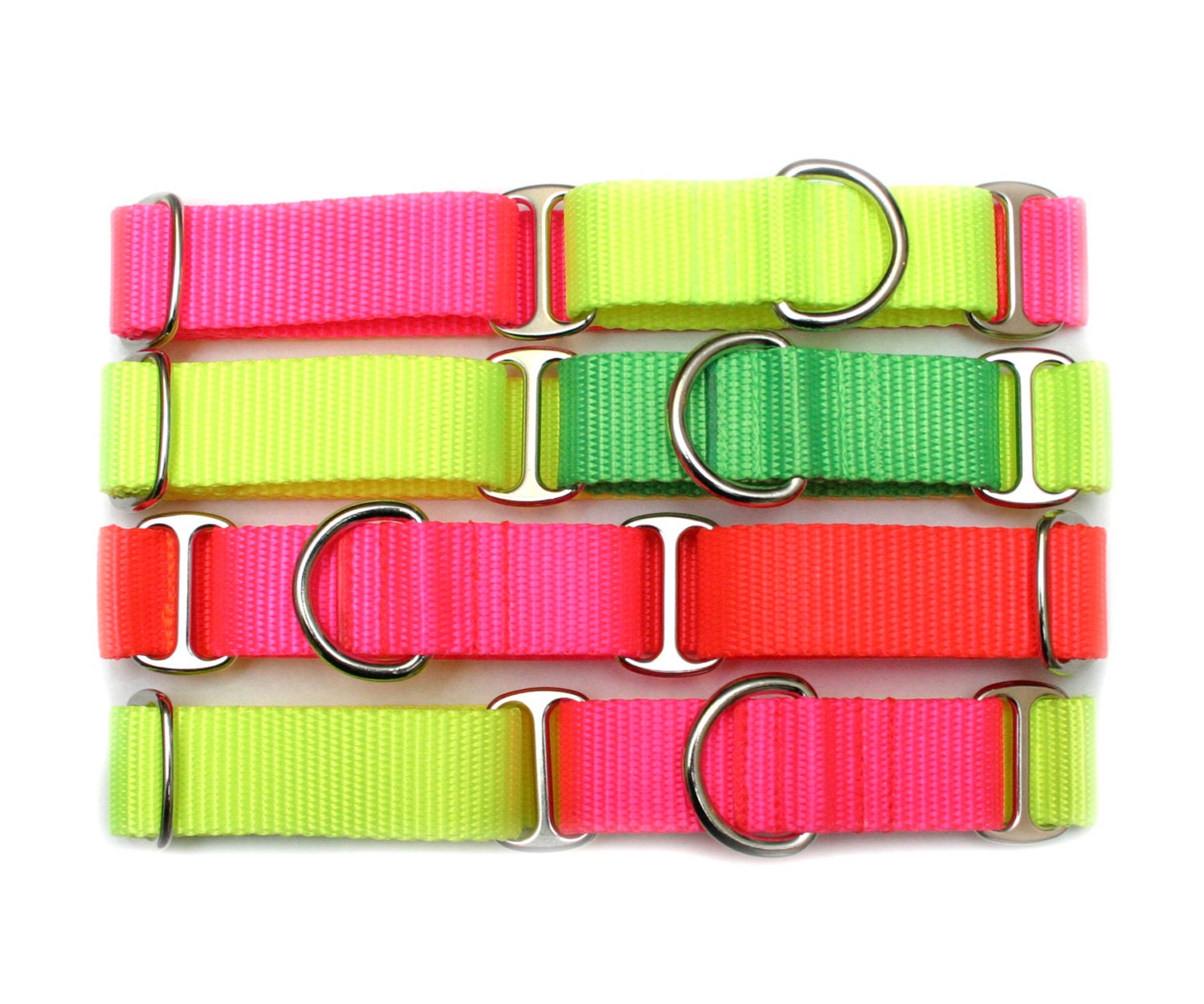1" dog collar The Cullen buckle or martingale collar