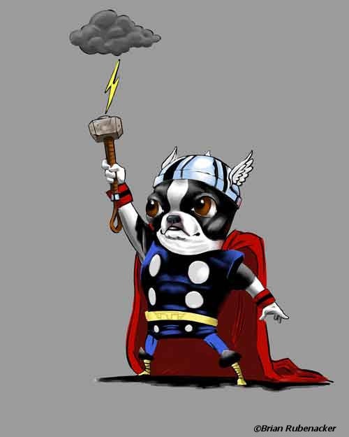 Thor Hero -  dog art print