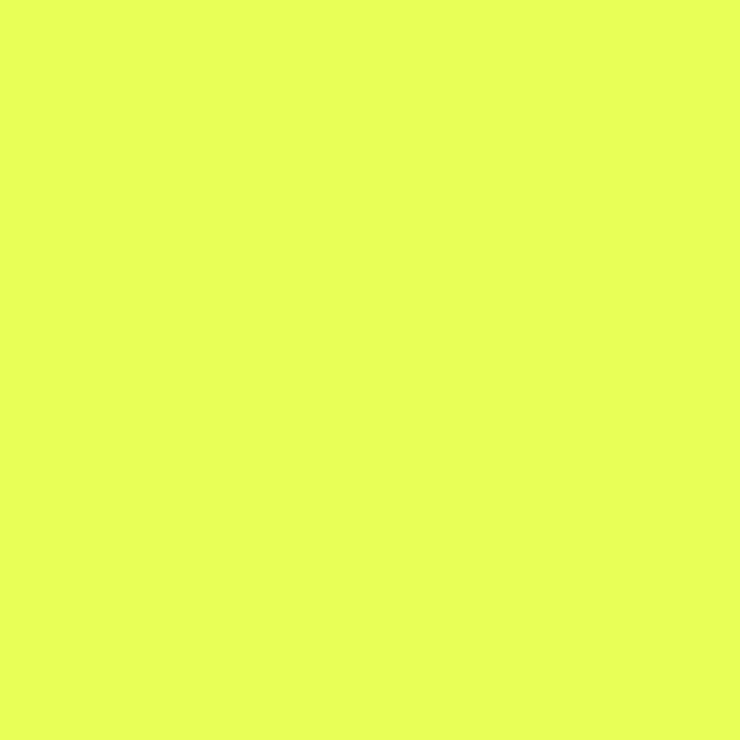 Neon Fabric, quilt or craft fabric by Michael Miller- Neon Solid in Lemon- 1 yard or by the yard