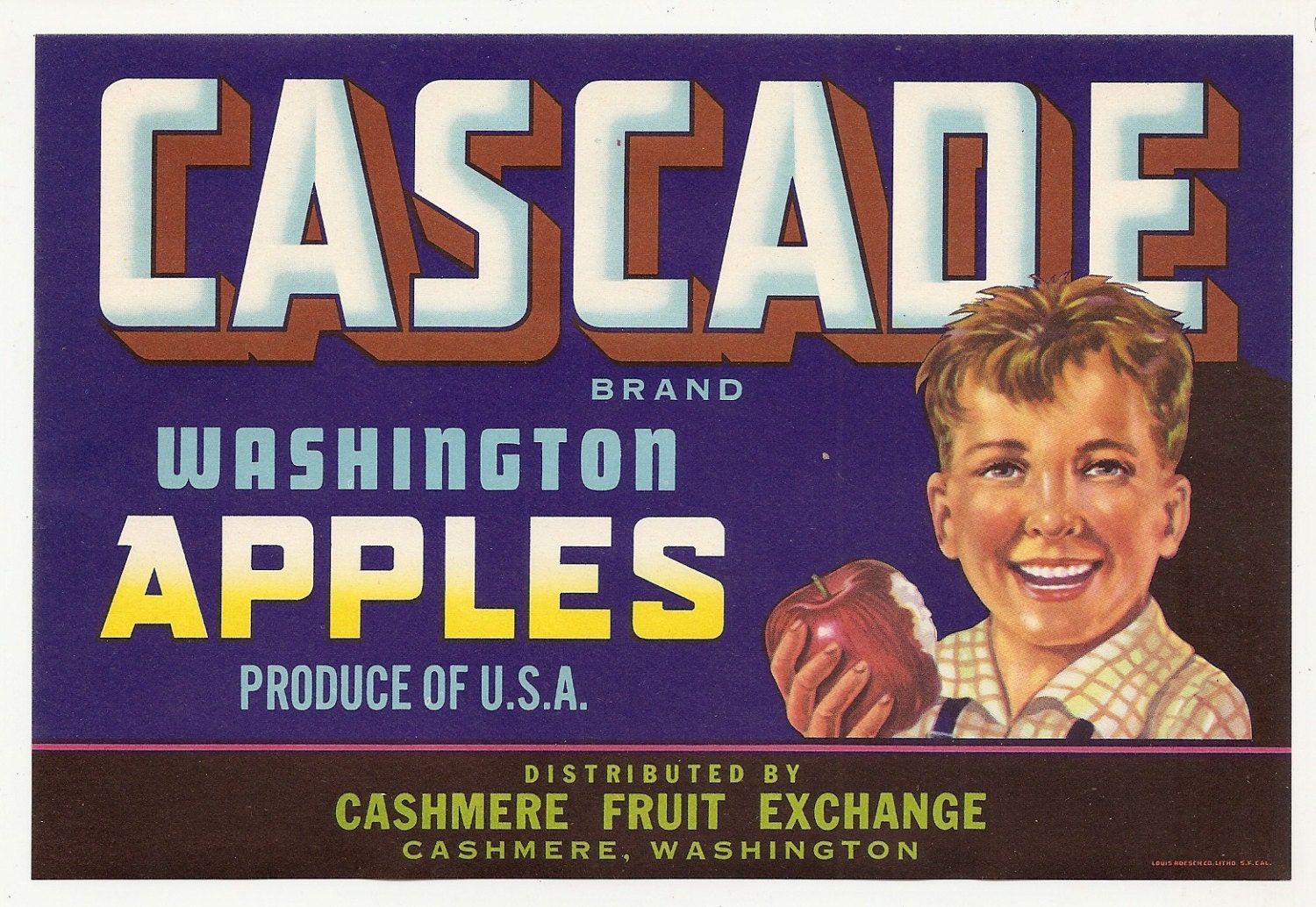 5 Old Vintage FRUIT CRATE LABELS