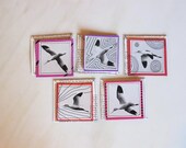 in flight (set of 5 mini handmade cards)