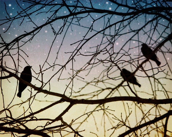birds in tree branches stars blue pink yellow evening sky print 8x10 Twilight Birds