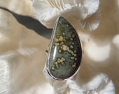 Beautiful Ocean Jasper Ring Size 7.5