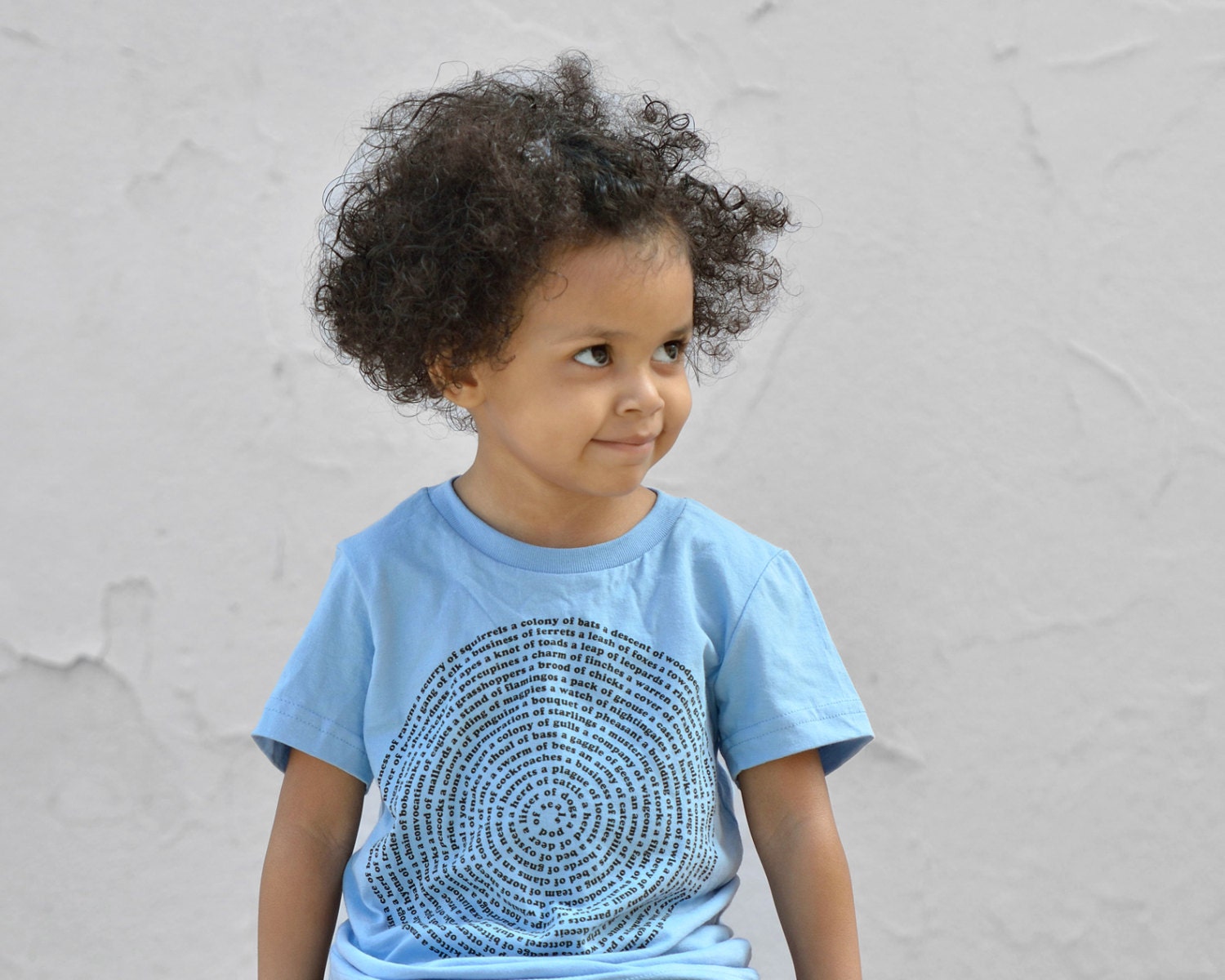 Collective Animal Nouns - Childrens TShirt - American Apparel in Baby Blue, typography