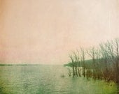 Quiet Spring . rustic nature photography . tree print . blush pink . pastel home decor . green . feminine wall art . fine art print