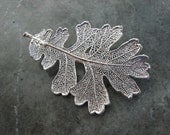 Real Leaf Brooch Pin Pendant - Sterling Silver - Oak