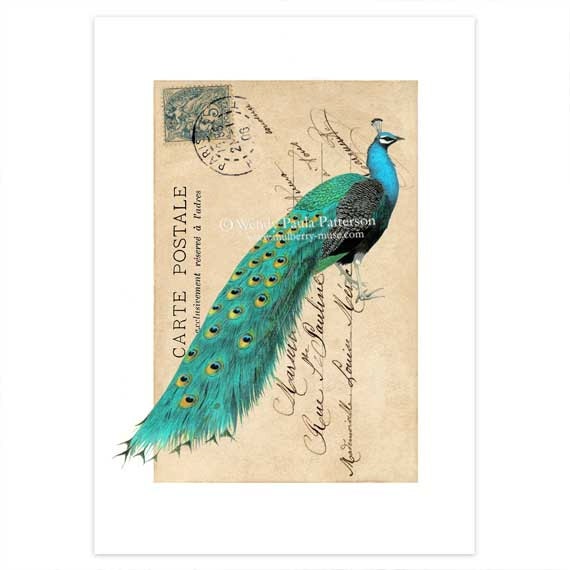 Peacock, Giclee, Art Print, French Vintage Postcard, Original Artwork, Giclee, Collage, Carte Postale