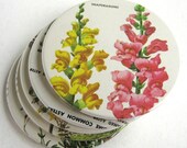 Flower Coasters // Vintage Encyclopedia // Sale - MeowKapowShop
