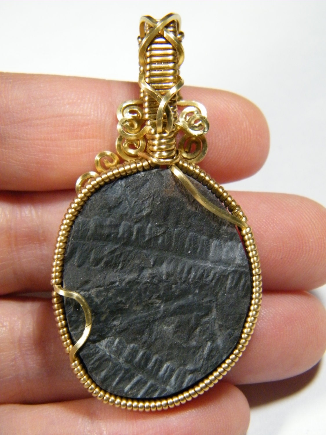 Plant fossil: Fern frond fossil in brass , pendant