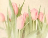 Spring photo, pink tulips, spring decor, gift for her, feminine, green, honeysuckle, still life, romantic, valentine, floral