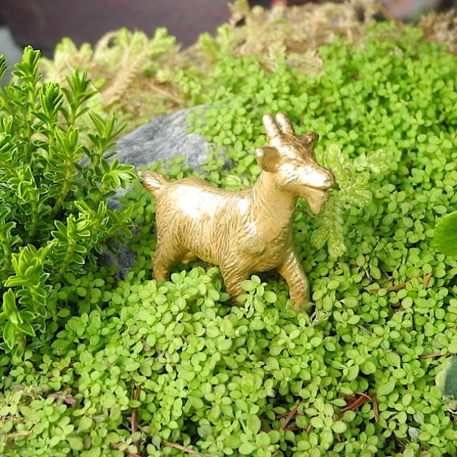 Miniature Garden Art Gold Goat for Miniature or 4H Fairy Gardening Sculpture Garden Bling