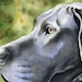 DOBERMAN PINSCHER Dog Art Print Signed by Artist DJ Rogers