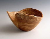 Rustic Natural Edge Oak Burl Wood Turned Bowl