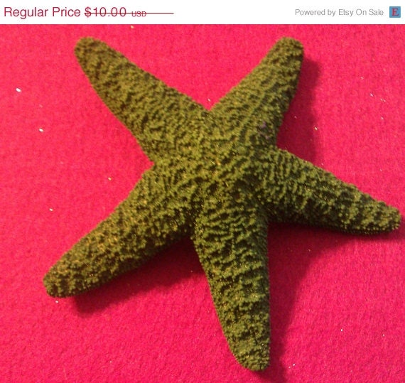 ON SALE Starfish, Green, green starfish, ocean, Beach wedding, tropical wedding, bridal, starfish barrette, starfish hair clip, fish, ocean