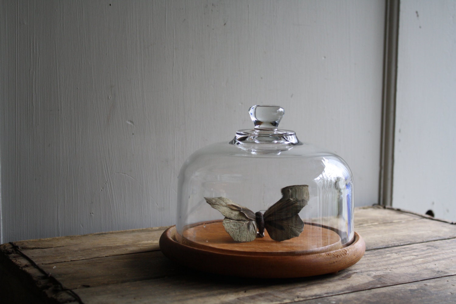 vintage wooden cheese plate and glass dome