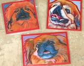 PEKINGESE Dog Art MAGNETS - set of 3 - Paintings by Lynn Culp