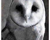 black and white owl art print 8x10