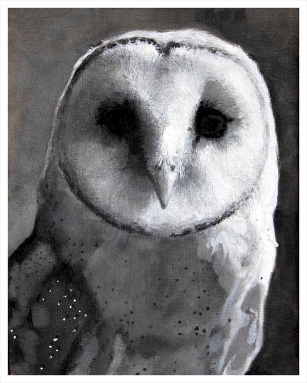 black and white owl art print 8x10