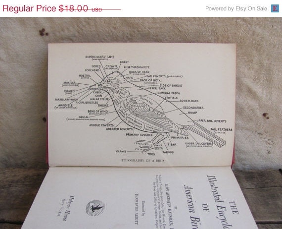 SALE // vintage 1940s nature guide book // The Illustrated Encyclopedia of American Birds