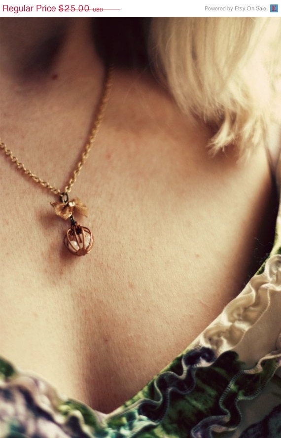 ON SALE Caged Innocence. A tiny vintage cage and mesh bow necklace.