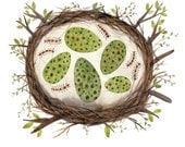 vernal nest bird art giclee print reproduction watercolor
