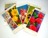 Set Vintage Assorted Greeting Cards, A Sunshine Card