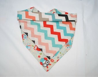 Pink, Red, Light Blue Owl Chevron Bandana Bib