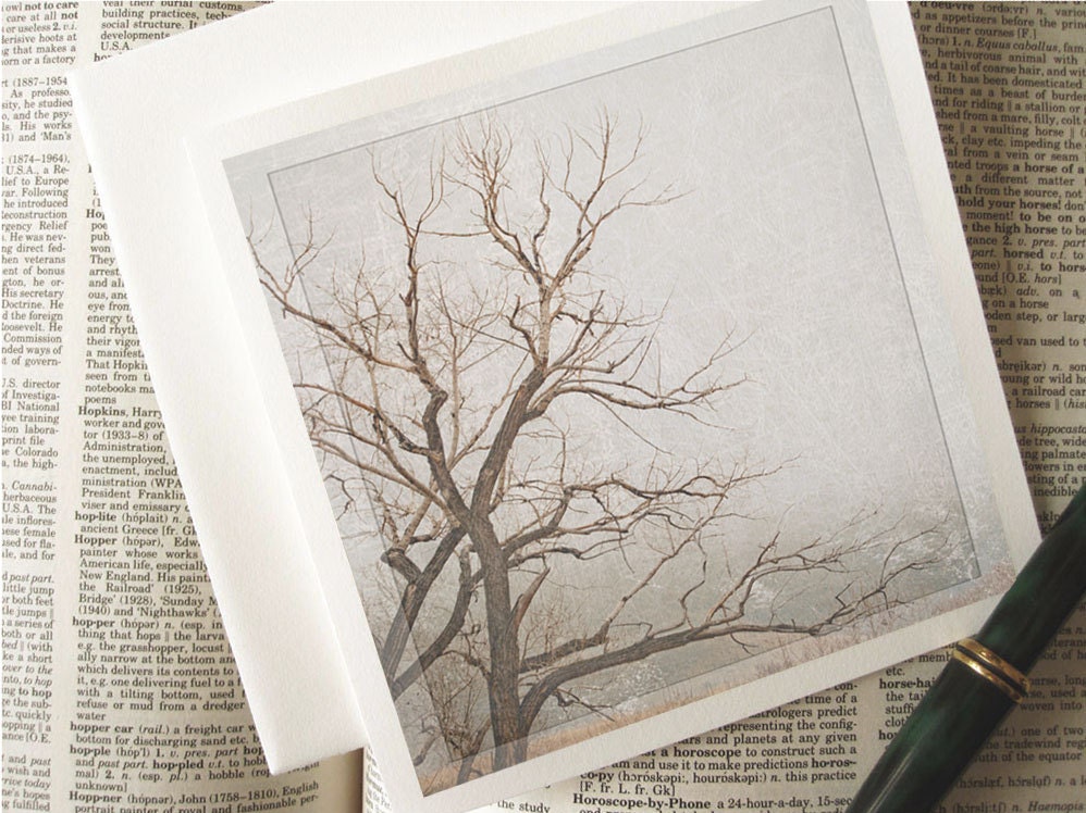 Bare Tree Card -Minimalist Card -Art Card -Blank Greeting Card -Square Card -Nature Card -Blank Note Card -Nature Notecard