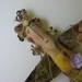 The Common Sulfur Butterfly Fey
