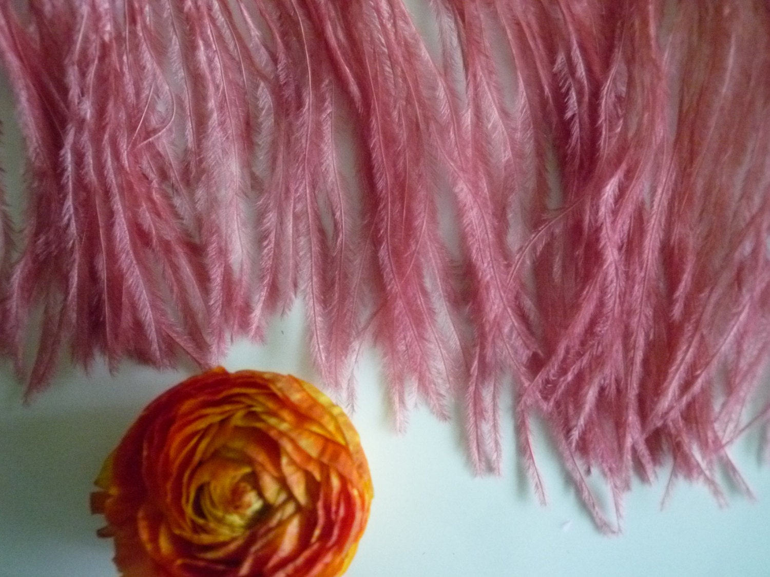 PICCOLO OSTRICH  FRINGE / English Rose Pink / 362