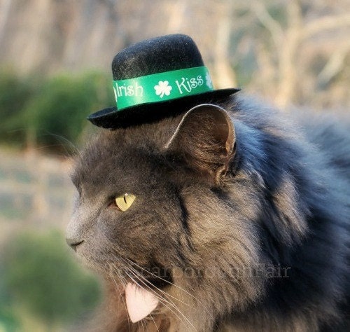 Kiss Me I'm Irish - Saint Patrick's Day Cat Hat