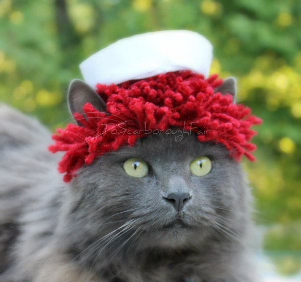 Raggedy Andy - Cat Costume - Rag Doll - Yarn Wig