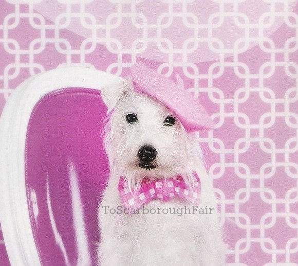 Dog French Beret - As Featured in Brides Magazine November 2010 - Soft Pink Beret