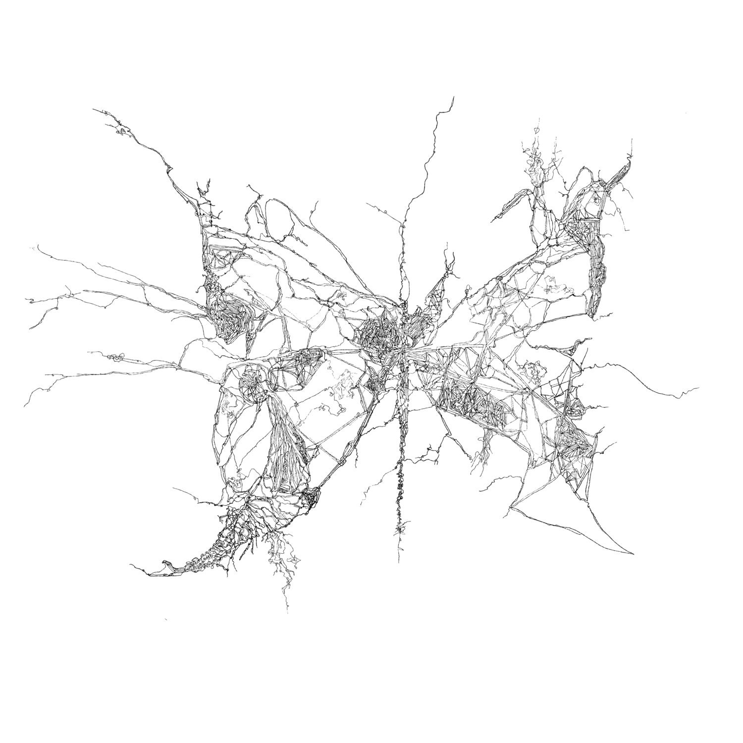 Limited edition Illustration --- Deconstruction series BUTTERFLY