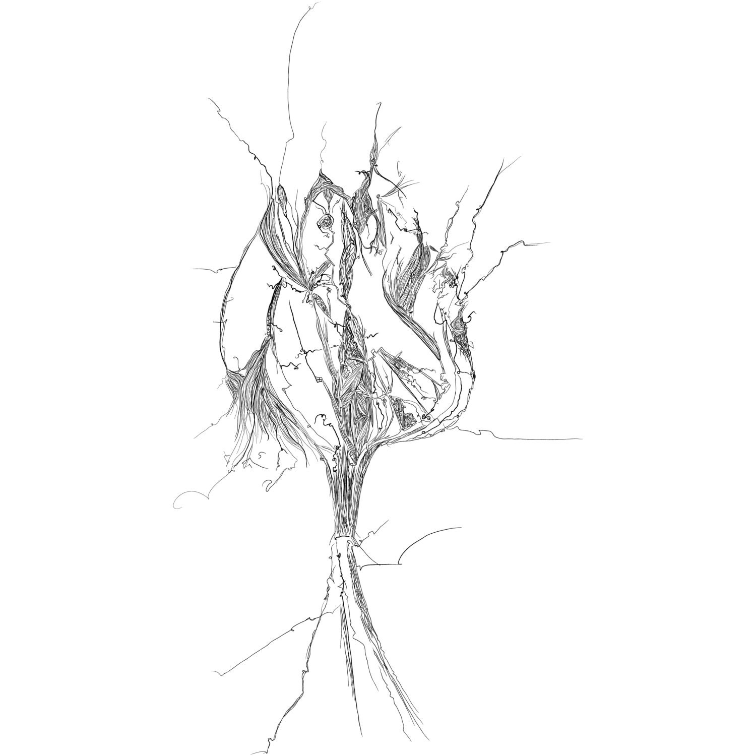 Limited edition Illustration --- Deconstruction series TULIP