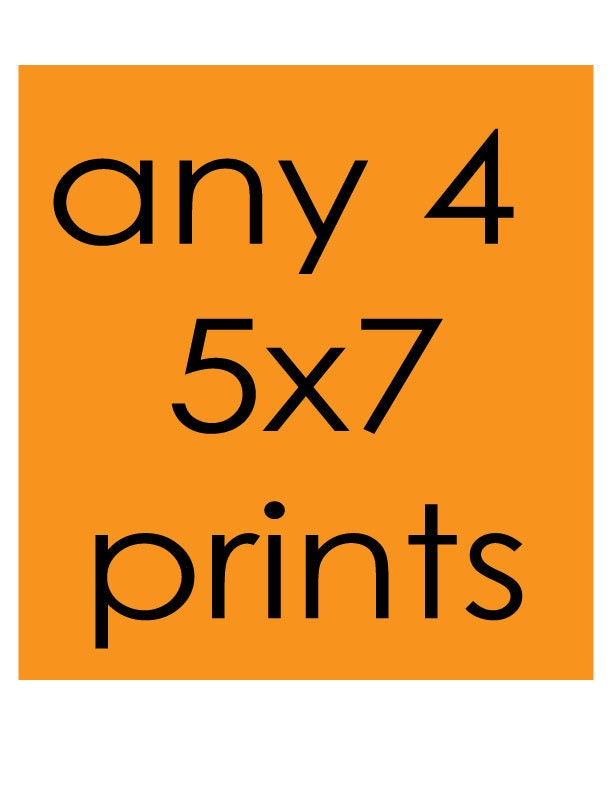 any 4 5x7 prints