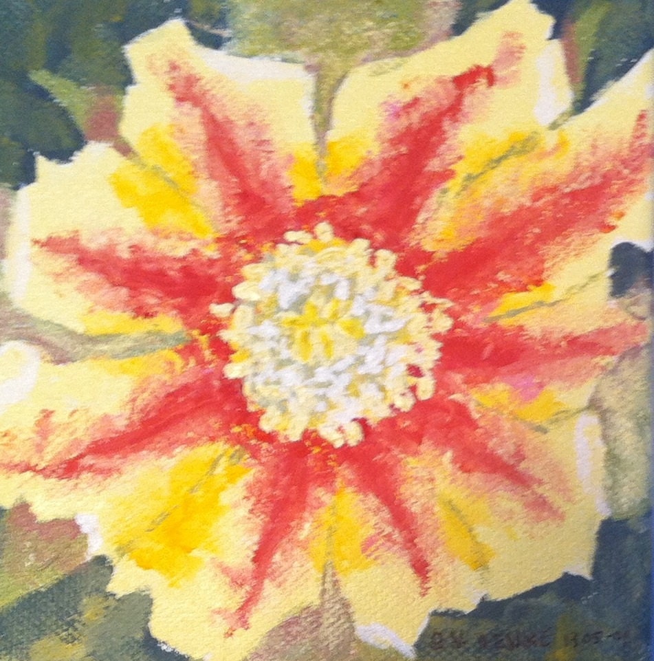 Yellow Cactus Flower with Coral Streaks, set of 4 blank cards 4.25x5.5 inches based on an acrylic painting by Nan Henke