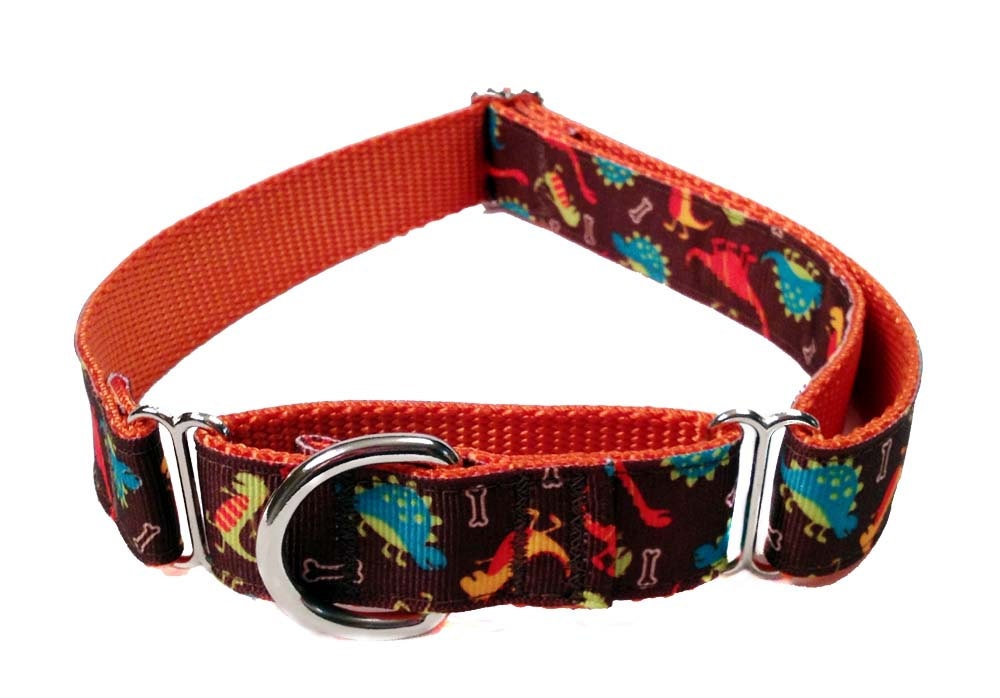 Colorful Dinosaurs Martingale Dog Collar - 1" Martingale Dog Collar