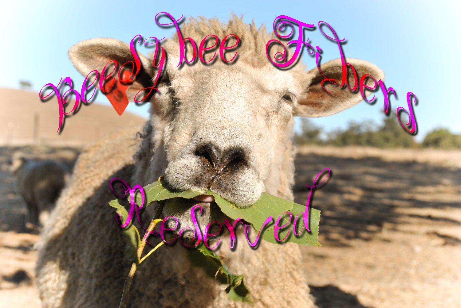 Reserved . Portuguese Merino wool, combed top, wool roving, spinning, felting - 4.1 - ALICE TEA CUP