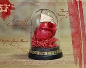 Anatomical Heart in Dome Conquered Heart Valentines Gift Love Romantic Goth Victorian Dollhouse Miniature