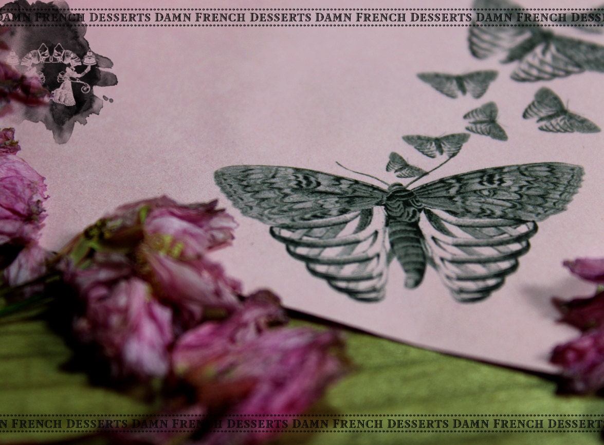 Victorian Envelopes Butterfly Skeleton Rib Cage Pink Wedding Halloween Set of 10