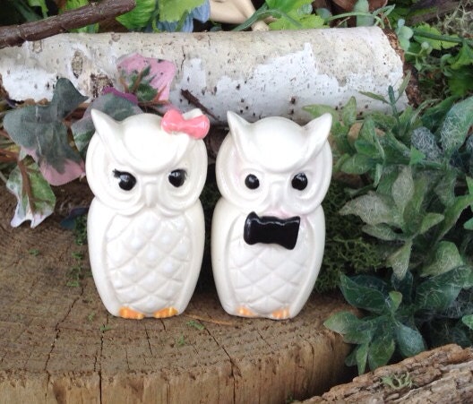 Custom Owl Bride and Groom  Ceramic Wedding Cake Topper   Bird Lovers ...Owlet Hooter  Mr Mrs Hootie