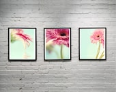 Daisy Prints Set of 3 Self Adheisive