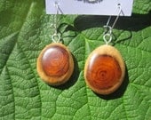 Beautiful Small Sized  Yew Wooden  Earrings-....115