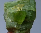Peridot Crystal   - specimen - lapidary supplies - cabbing supplies - gemstone  cutting supplies