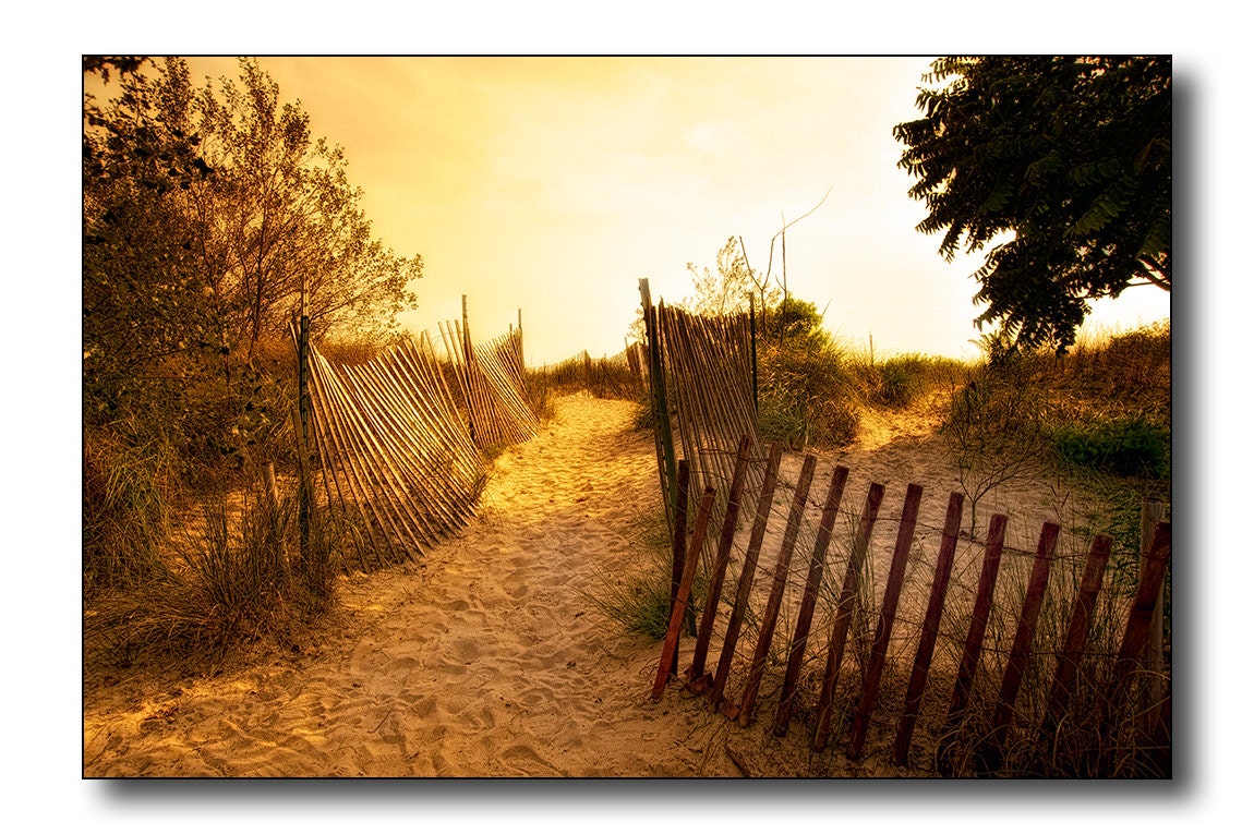 Sandy Shore Fine Art Photography Soft Gold Color Sandy Path Over The Sand Dune Evening Sunset