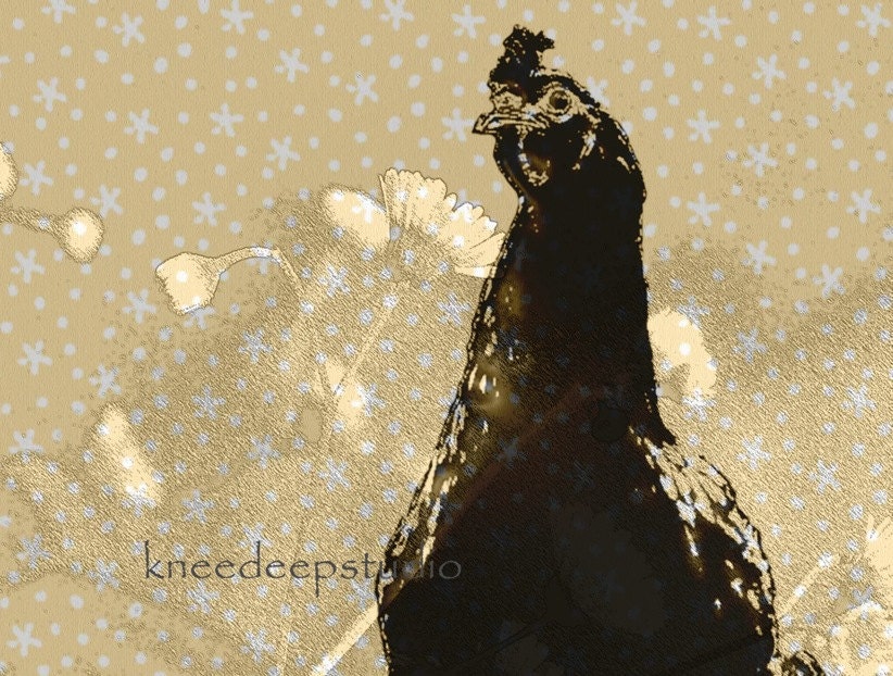 Chicken Photograph 8x10 kitchen wall art shabby chic rustic country decor