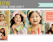 Harlow 3 Facebook Timeline Cover - Facebook Timeline Templates - Photoshop Templates