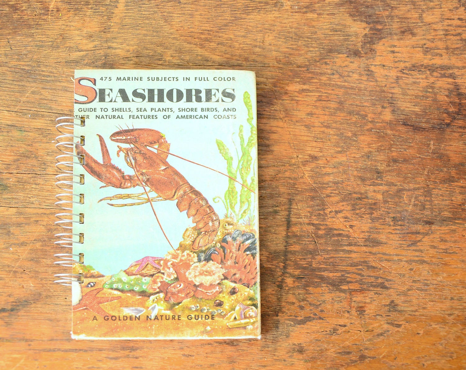 Vintage Book Journal .. Seashores