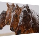 Faces in the Snow (24x36)